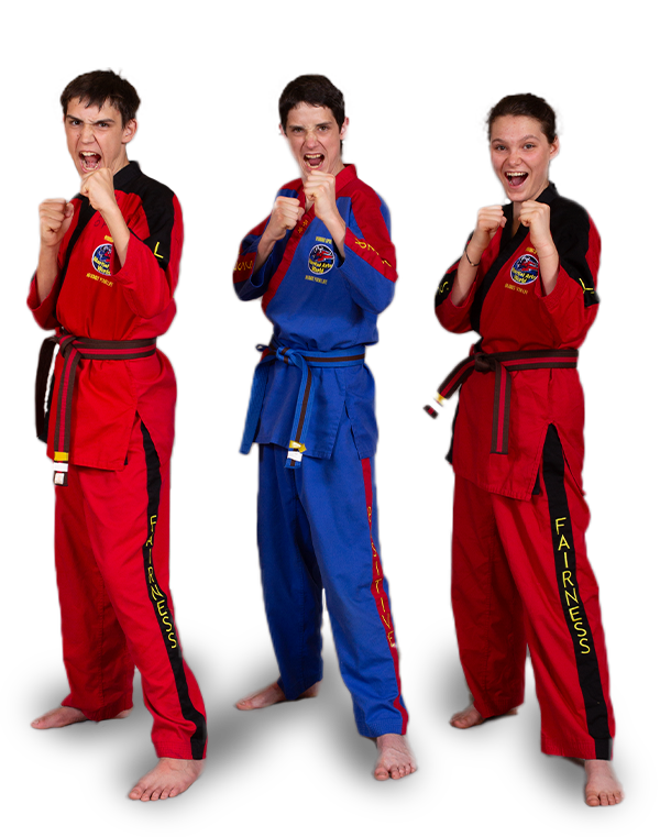 Adult Martial Arts Classes Lake Mary
